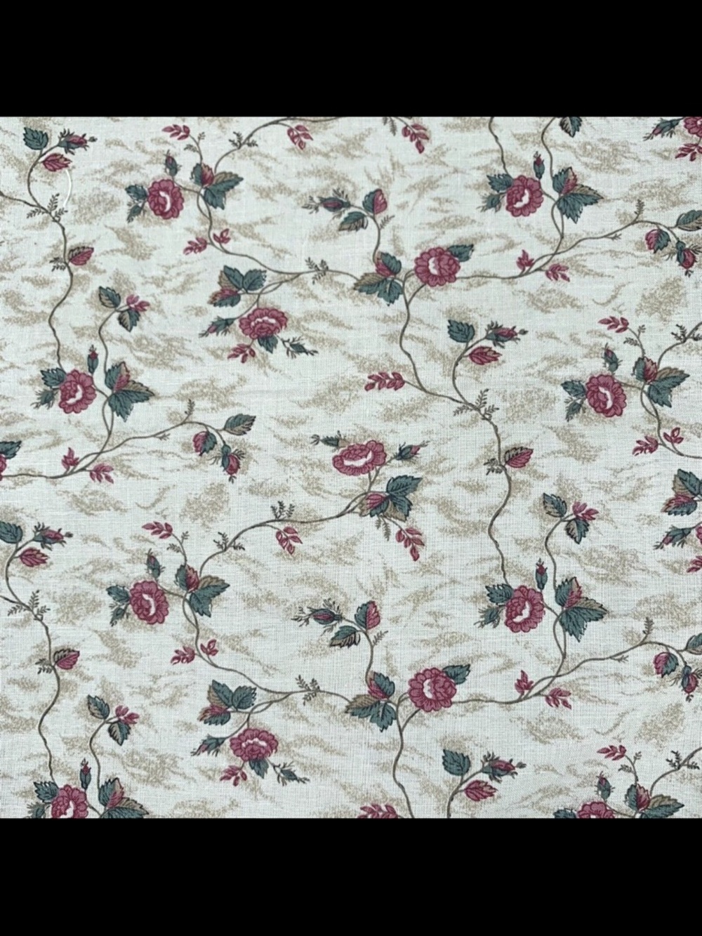 Vintage RJR Little Sisters Quilt THE SMITHSONIAN Beige Floral 1 yard